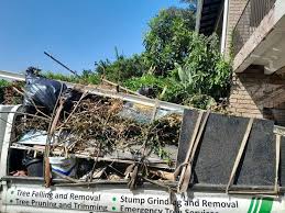 Best Property Management Cleanouts  in Blackwater, AZ